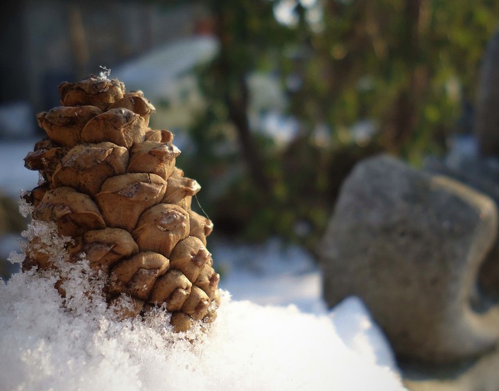 Winter