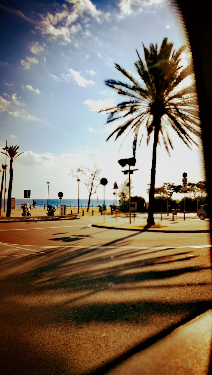 Sunny