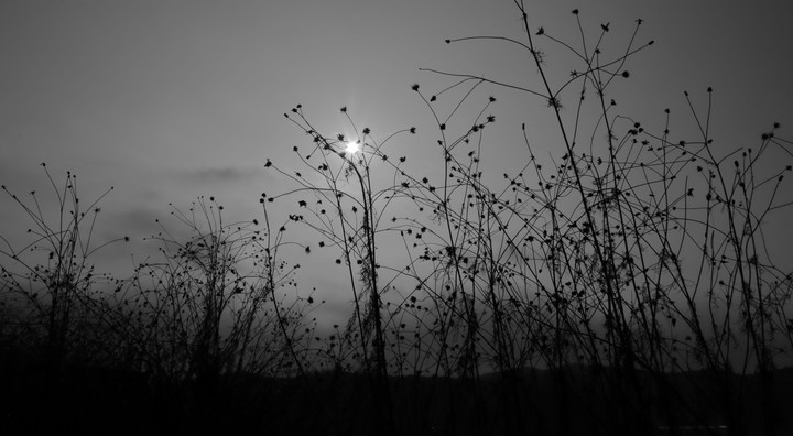 Grey Sky