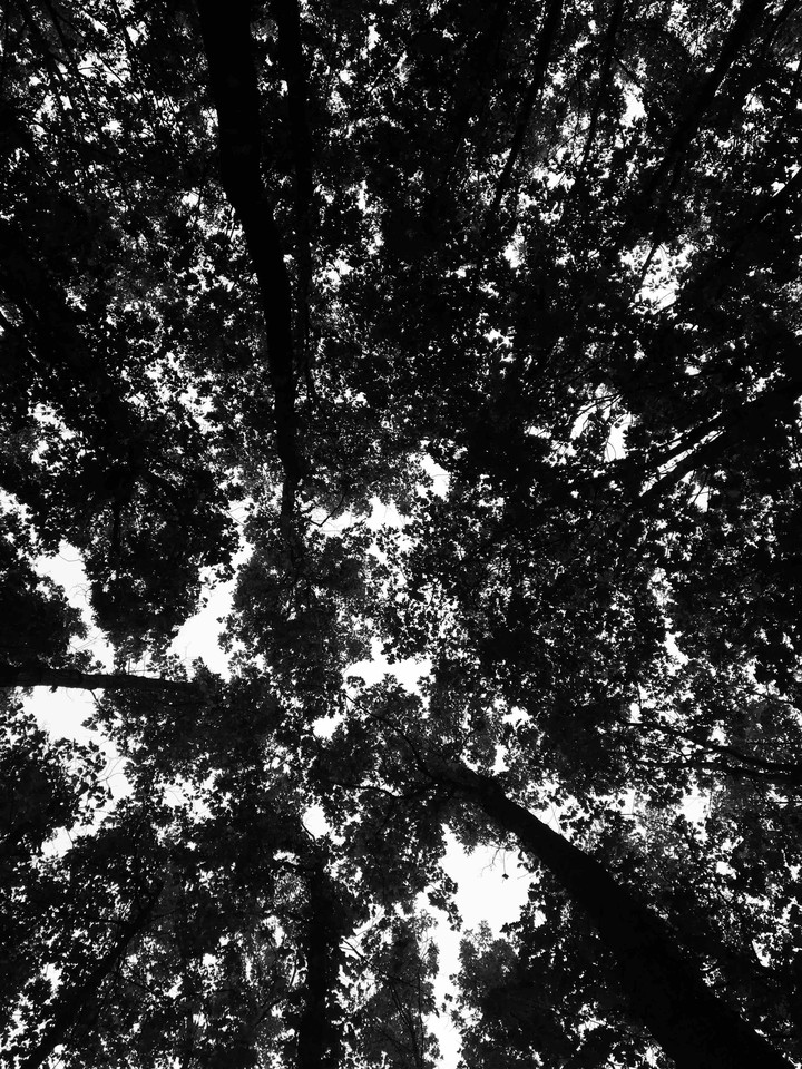black&white