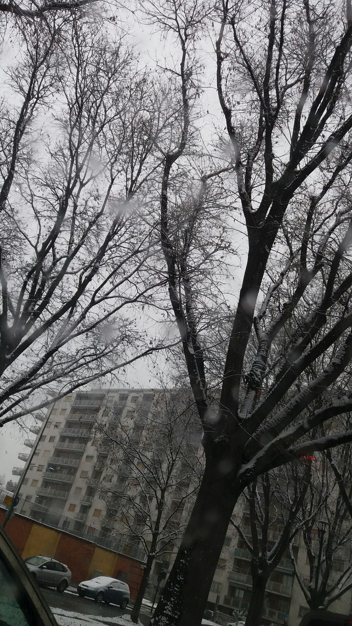 Neve