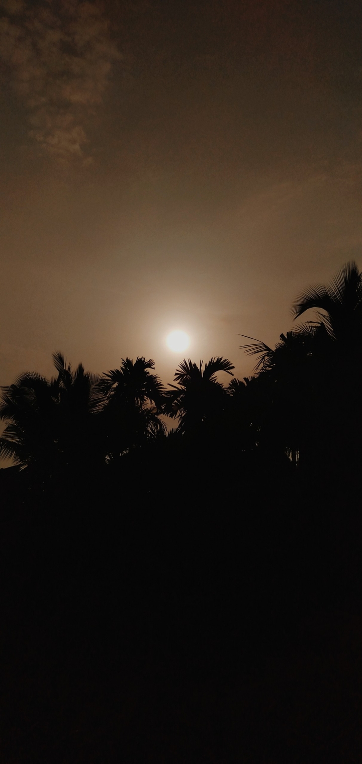 Warm Sunrise