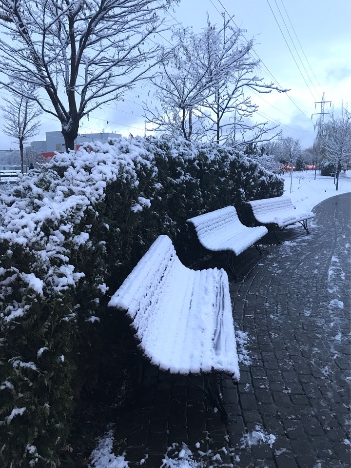 Winter☃️