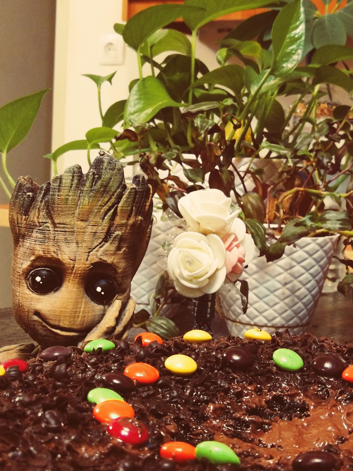 chocolate cake