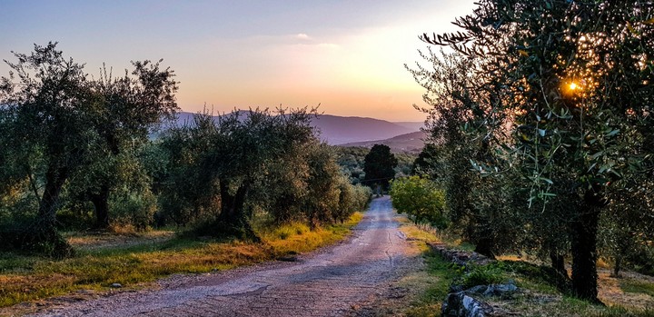 TOSCANA