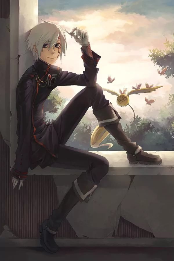 D Gray man