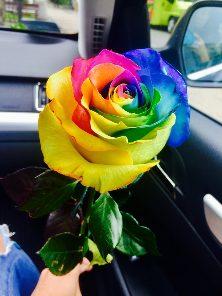 Gift