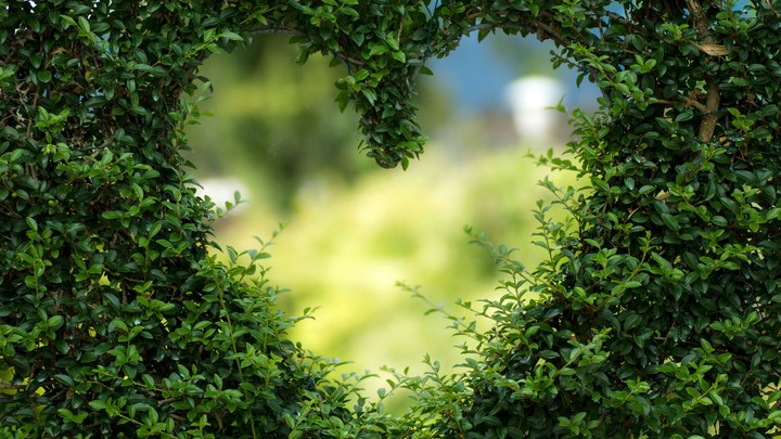 Green heart