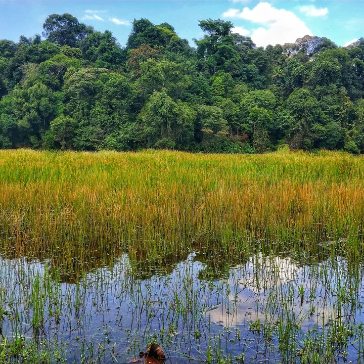 Lakeside