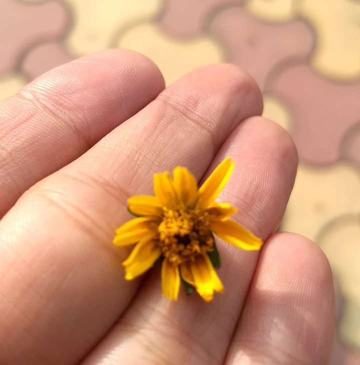 Beauty lies in the hands of the beholder
