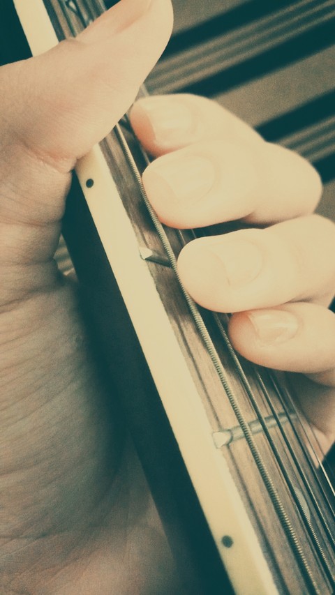guitarist