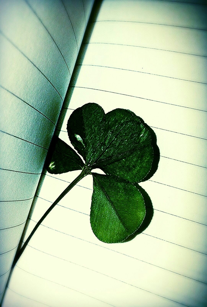 5 Luck