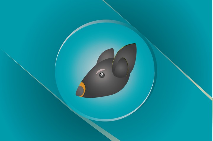 illustrator