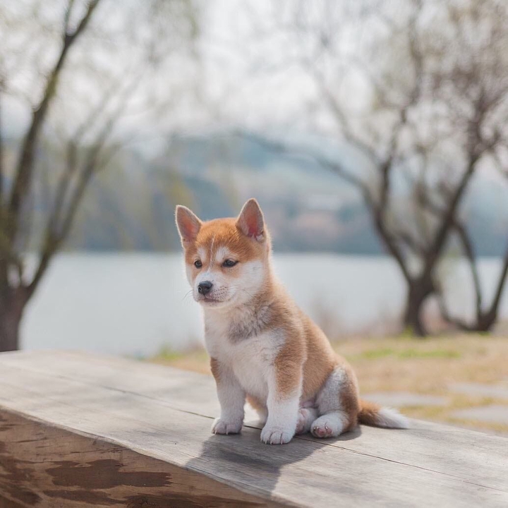 ♡♡♡♡♡♡♡♡♡♡♡♡♡