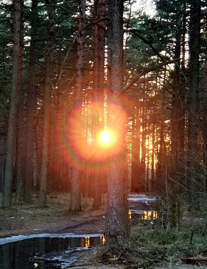 #Закат#Sunset