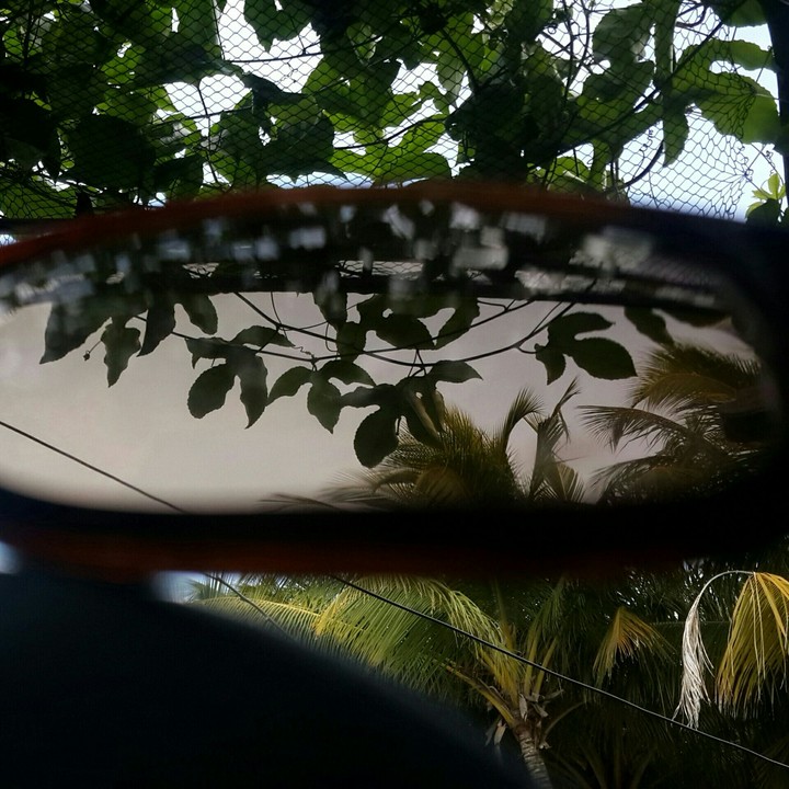 focus