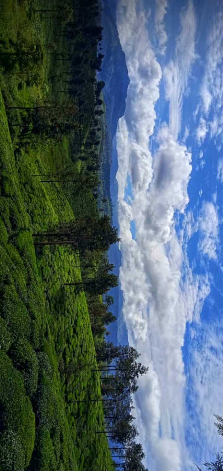 Valparai, Tamil Nadu, India