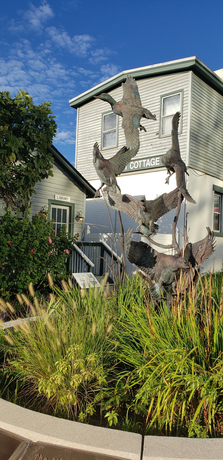 Beach sights