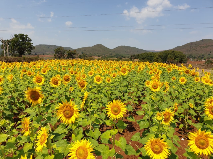 nature of koraput