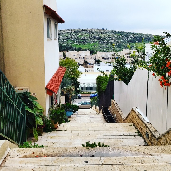 Street
