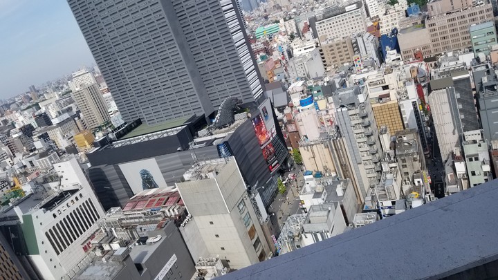新宿ゴジラ