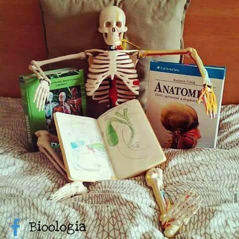 The life of medical Student
