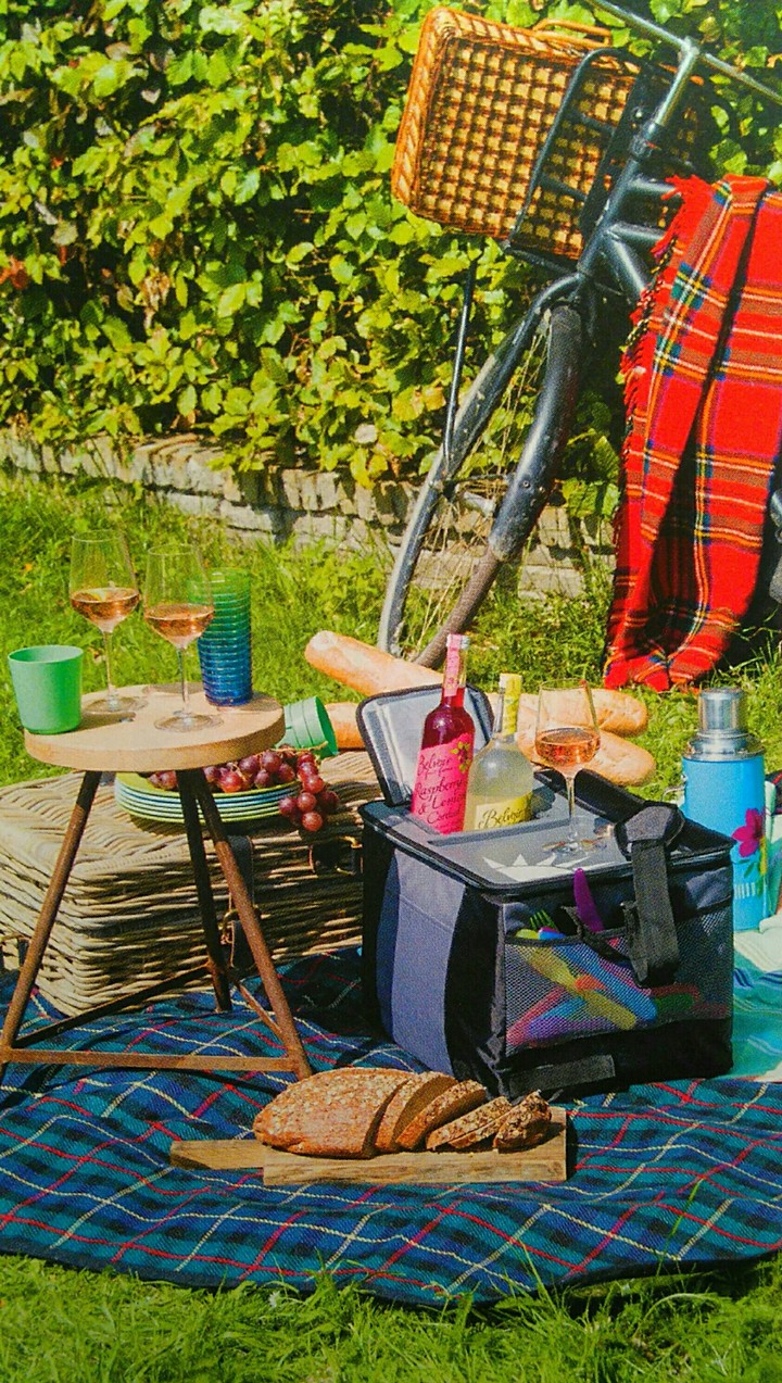 Picnic