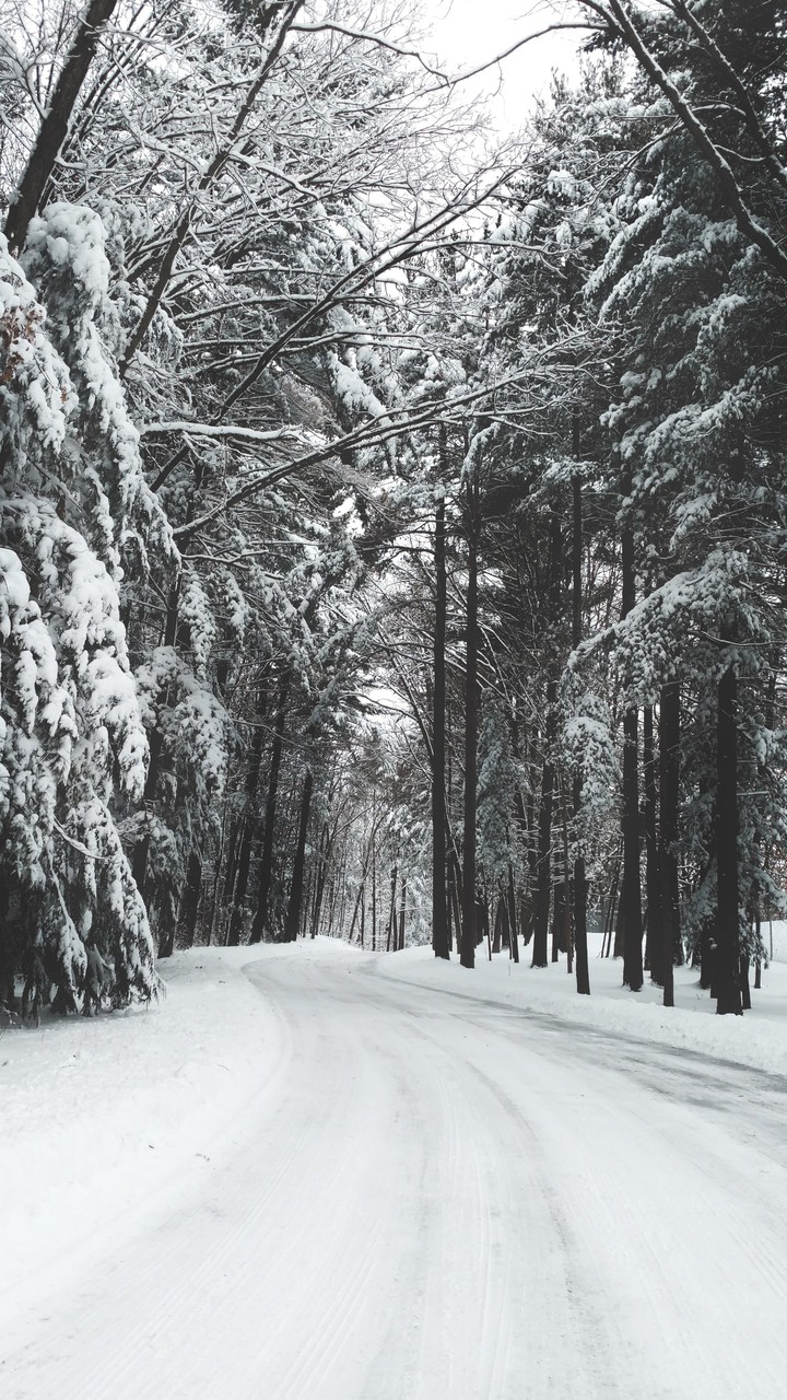 winter
