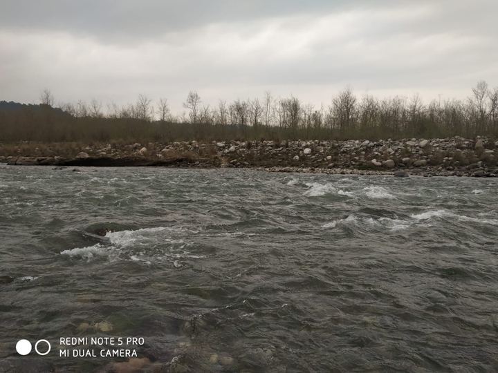Kosi river