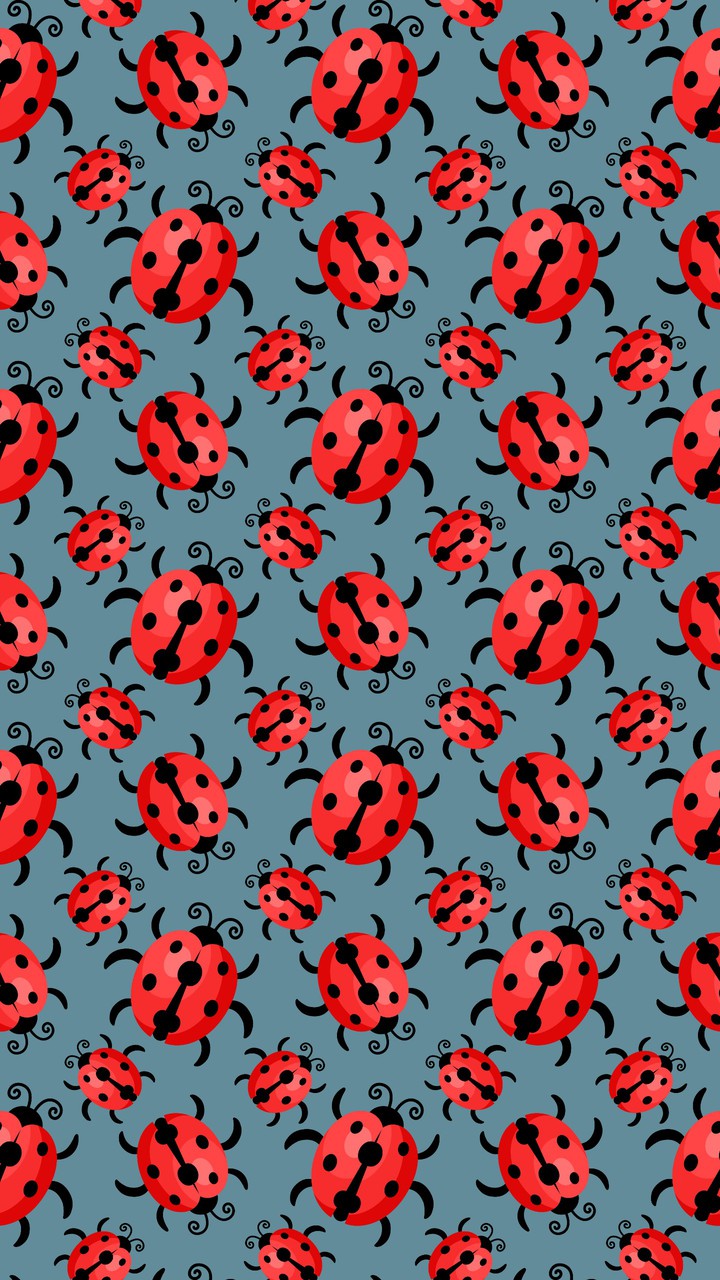 ladybird
