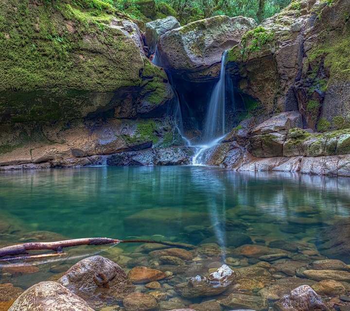 nature
