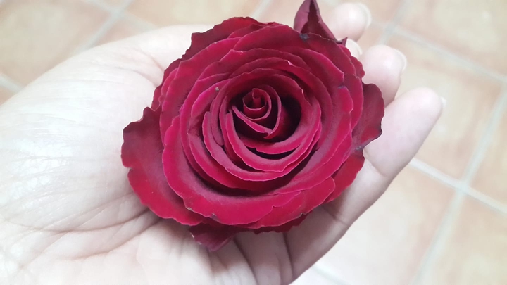 Roses are red