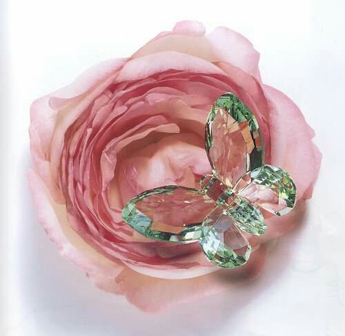SK~flowers