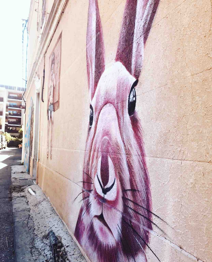 Le lapin rose