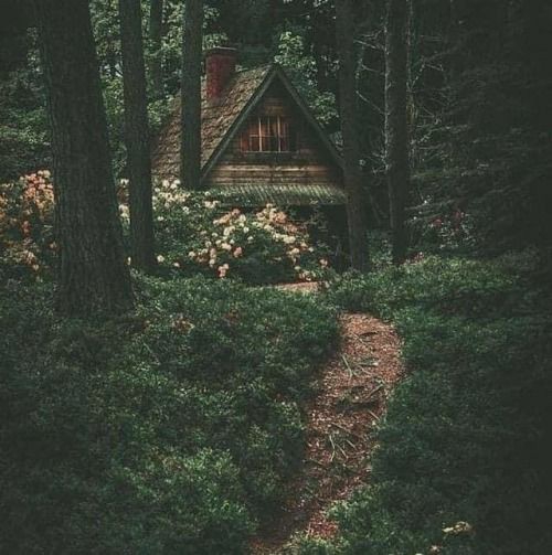 dark cottagecore