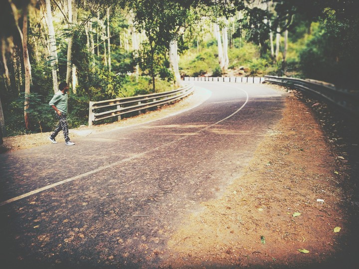 road trip