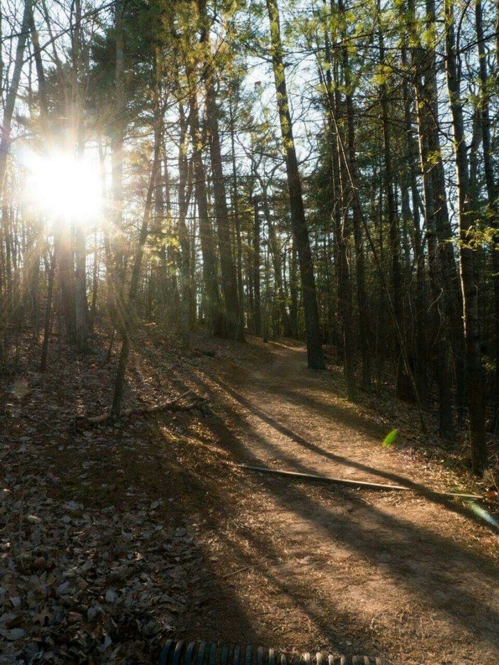 Winter Sunshine