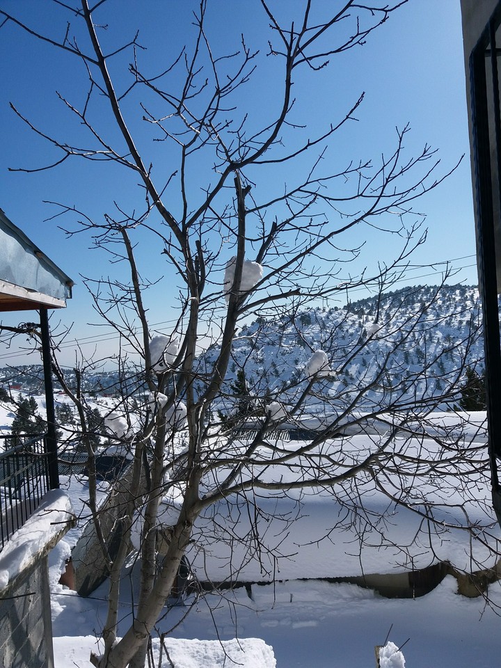 Snow's dance