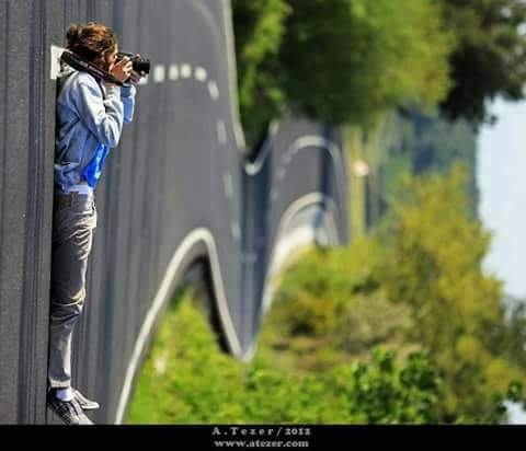 Des Bildes