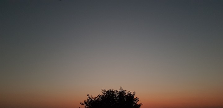 Evening in Village