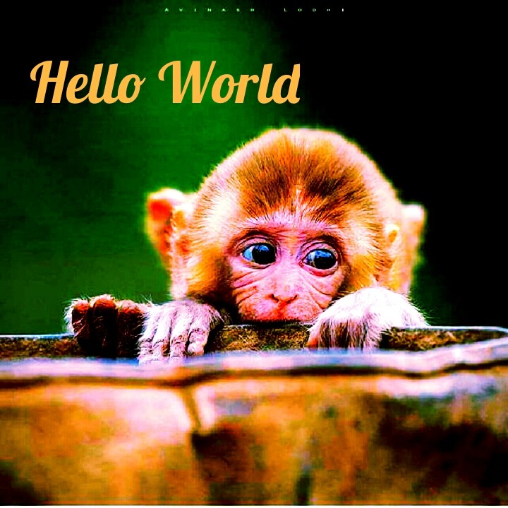 hello world