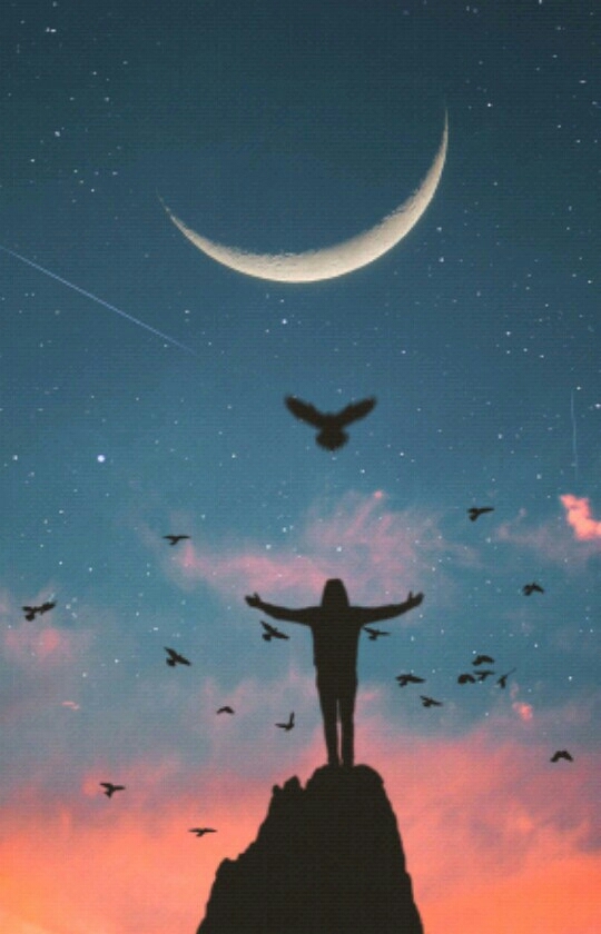 stars and me