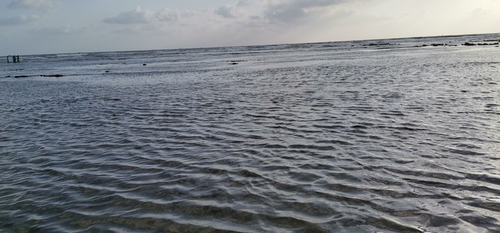 sea