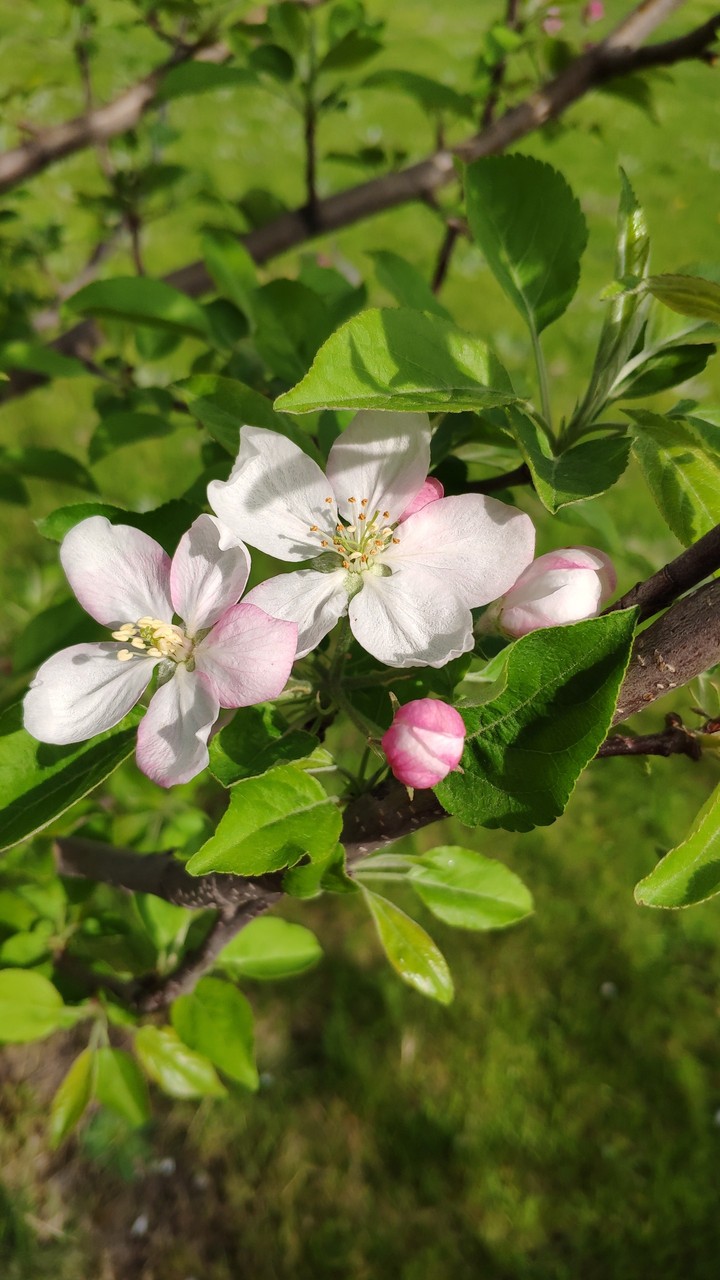 spring is here!