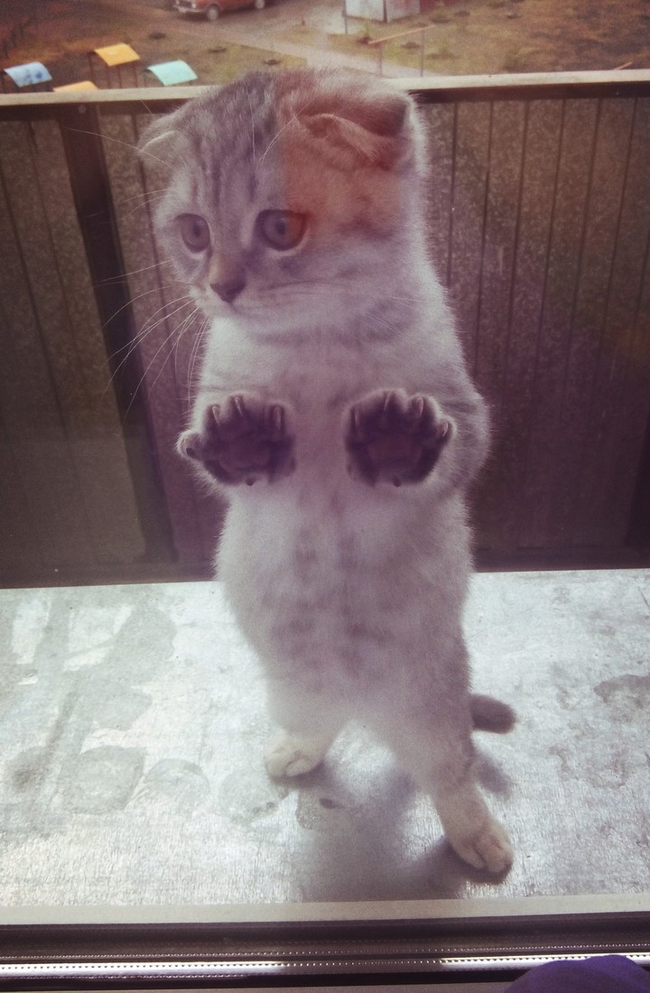 Максим