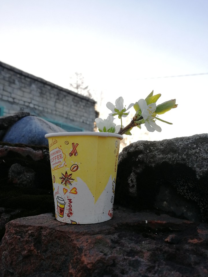 spring))