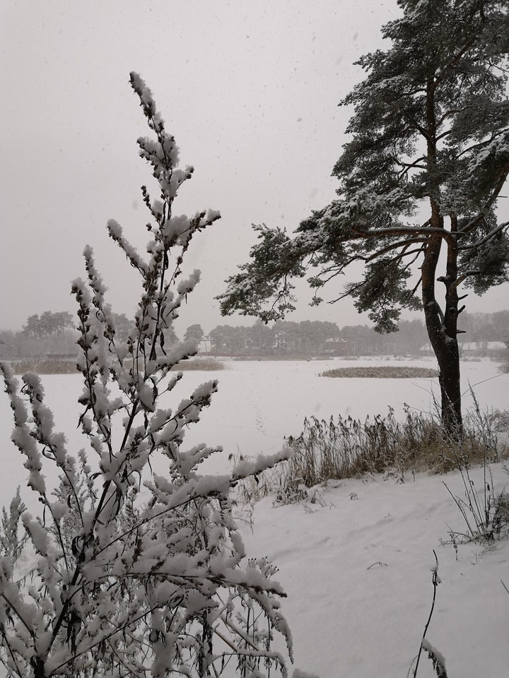 Winter