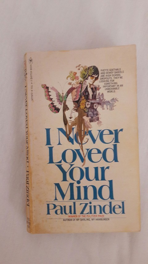I never loved your mind