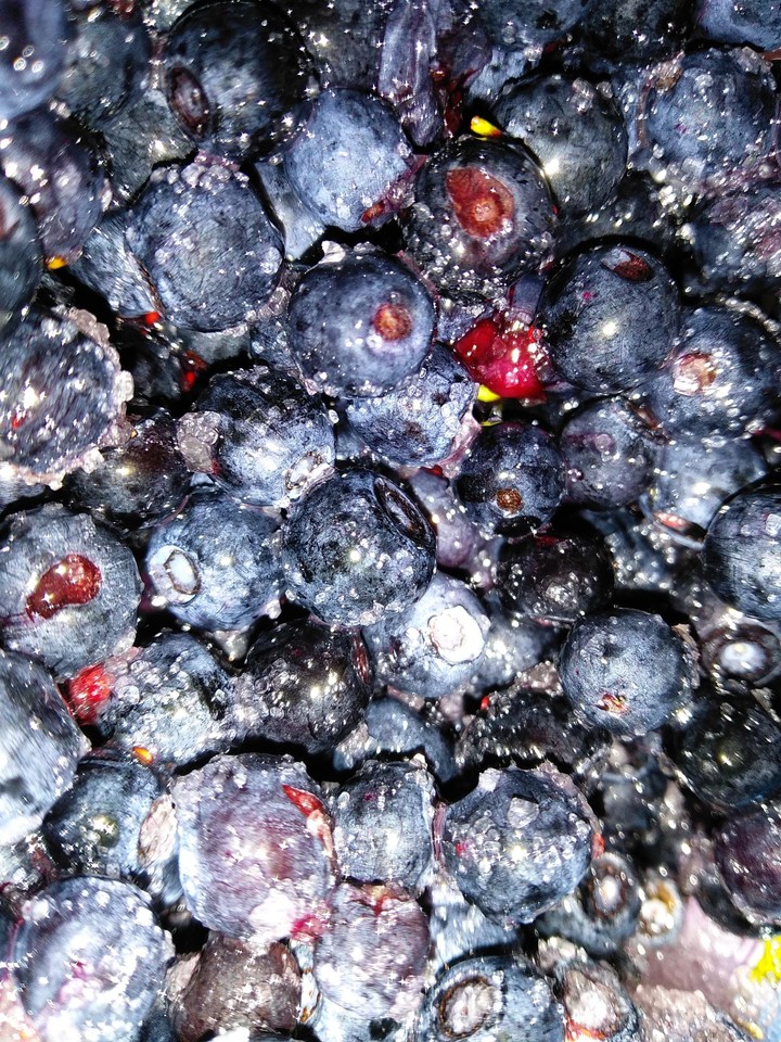 #blueberry