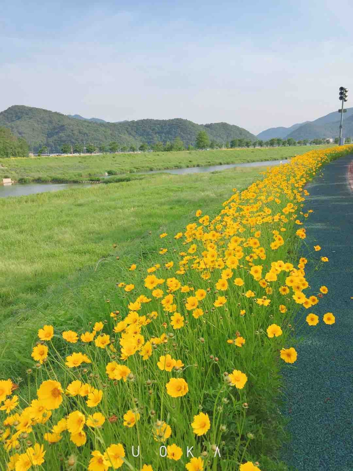 공원